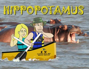 Hippo canoe sept10-26